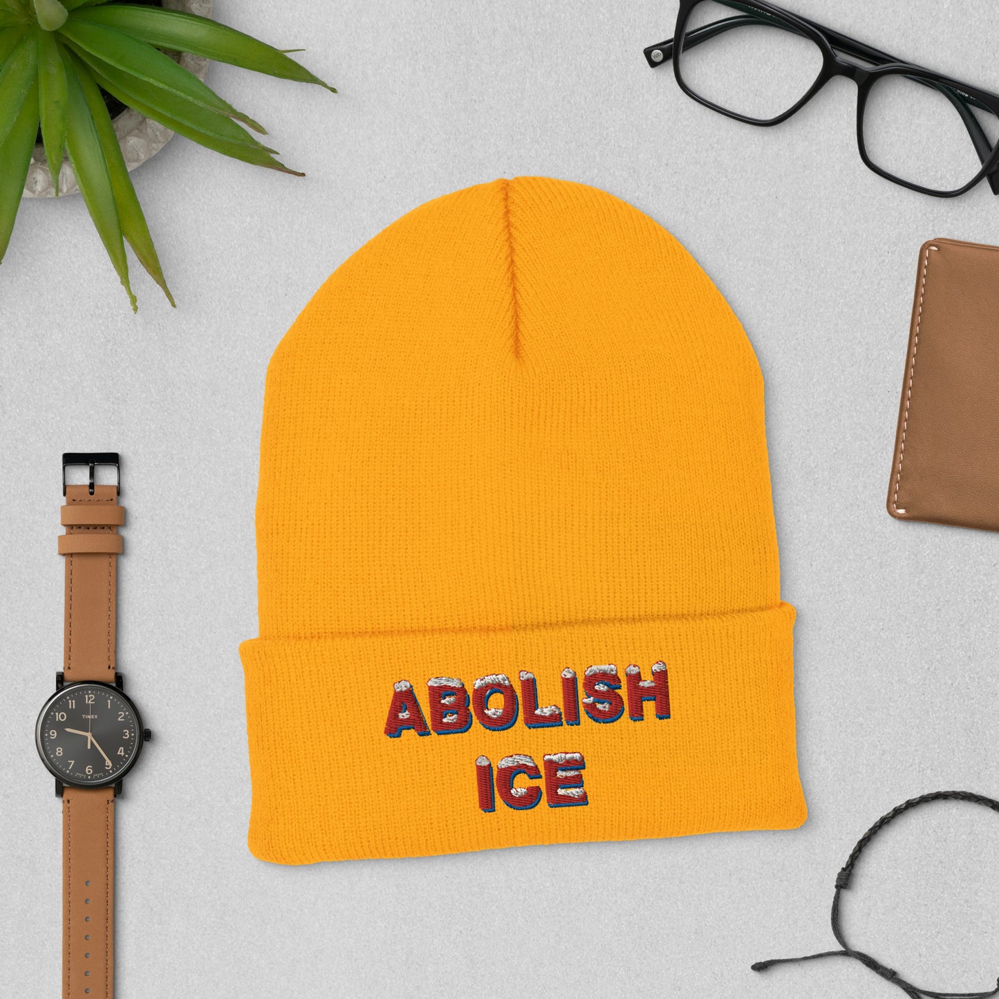 ABOLISH Beanie